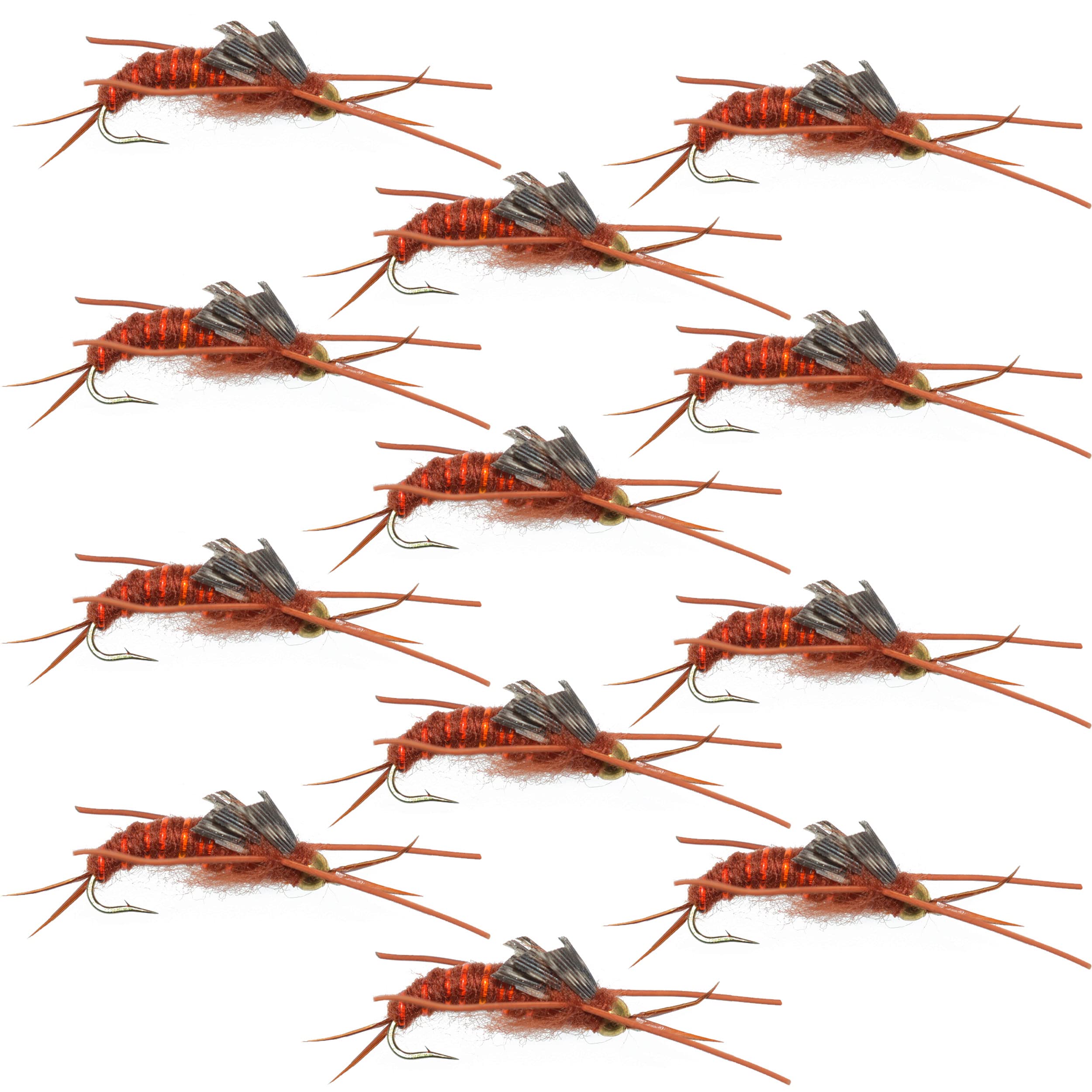 The Fly Fishing Place Bead Head Nymph Fly Fishing Flies - Kaufmann's Brown Stone Fly with Rubber Legs - Stonefly Wet Fly - 12 Flies Hook Size 6