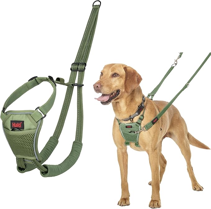 Arnés anti tirones HALTI - Para evitar que tu perro tire de la correa, Ajustable, Ligero y Fácil de Usar. Reflexiva Adiestramiento canino Arnés para perros medianos (Talla M, Bosque Verde)