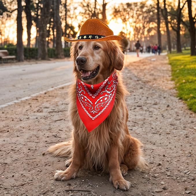 Disfraz de Vaquero para Perro con Sombrero y Pañuelo WLLHYF miniatura 7