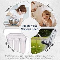 Vista 7 de Cartucho de filtro de agua de carbono CTO de 1 micrón, 2.5 x 10 pulgadas, repuesto para sistema de filtro de agua debajo del fregadero, Dupont