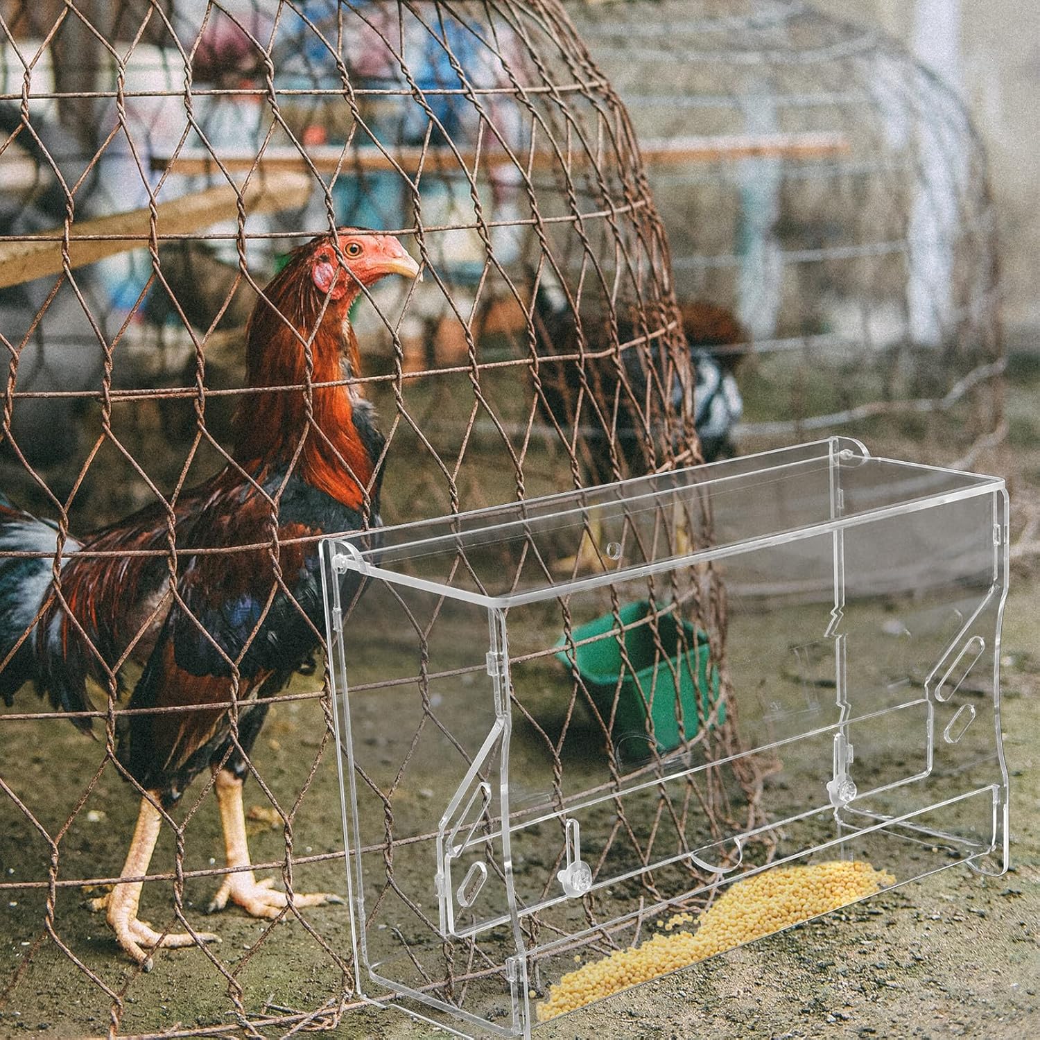 Automatic Acrylic Poultry Food Feeder Medium Chicken Feeding Trough for Parrots Cockatiels and Small Birds Indoor Pet Breeding Supplies