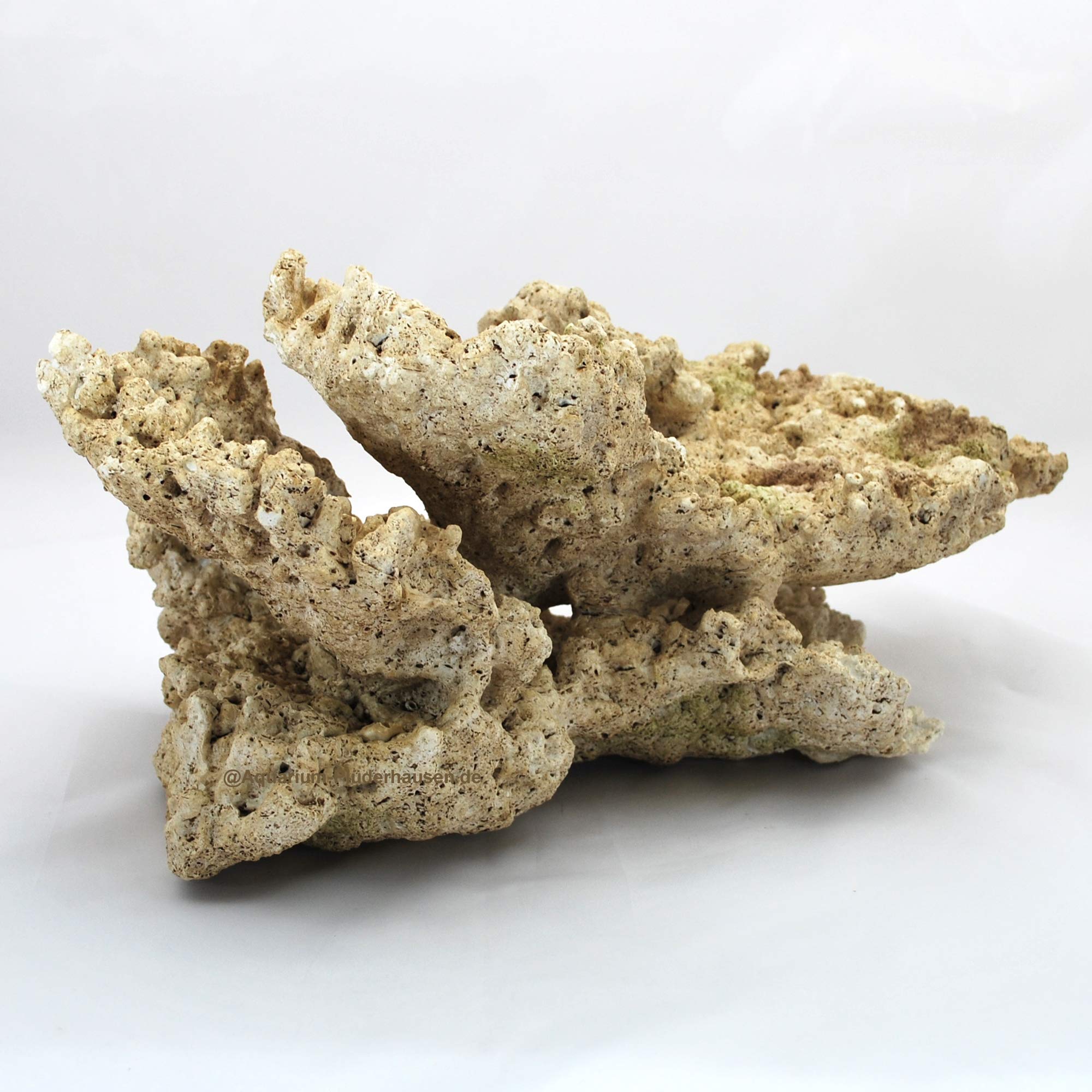 Riffgestein, 41 x 23,5 x 18 cm,Felsen Nachbildung,Meerwasser Aquarium Deko