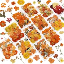 350 Pcs Fall Dried Flowers for Crafts,Real Nature Dried Flowers for Resin