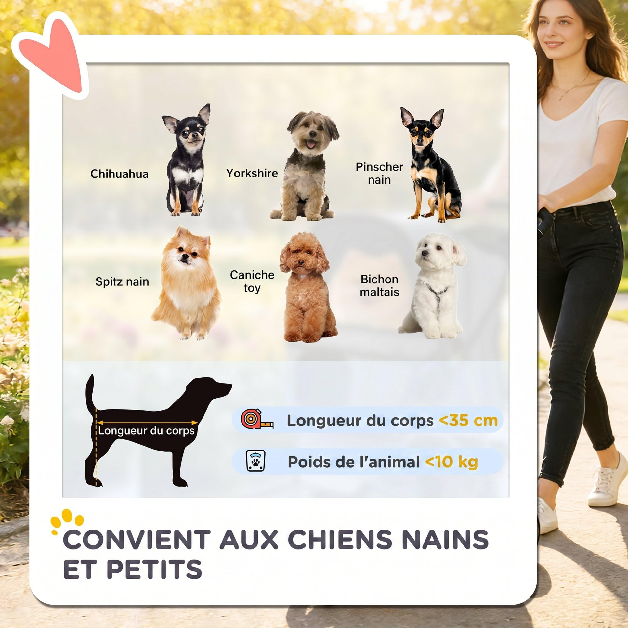 PawHut Poussette Buggy Pliable Animaux, Chariot Pliante Imperméable pour Chien et Chat, Toit Amovible Incluse, Porte-Gobelet, Panier de Rangement, Roues avec Frein, Tissu 600D Oxford, Acier, Café