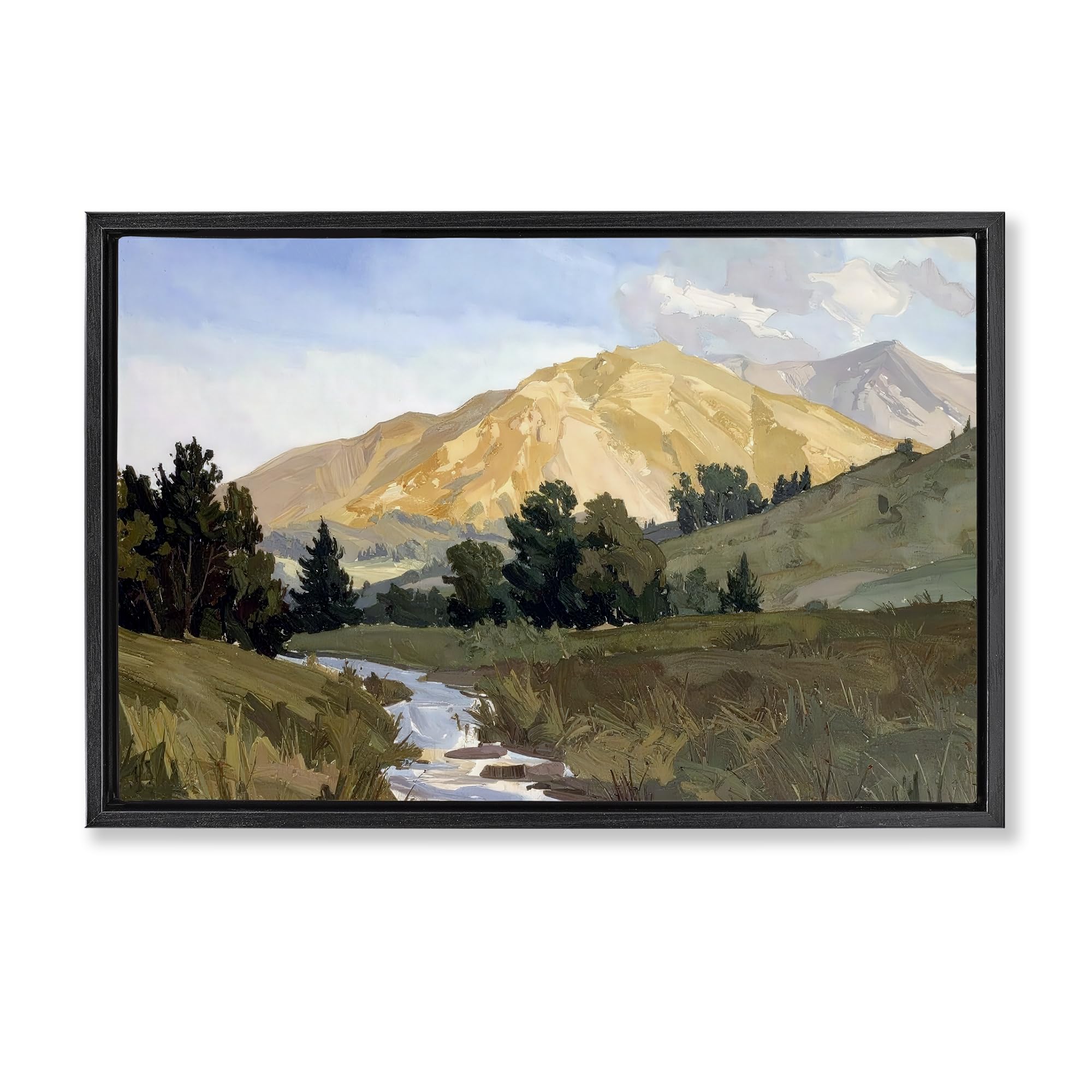 Stupell Industries Jet Black (Matte) 'Mountain Divide Valley'| Floating Frame Canvas Art