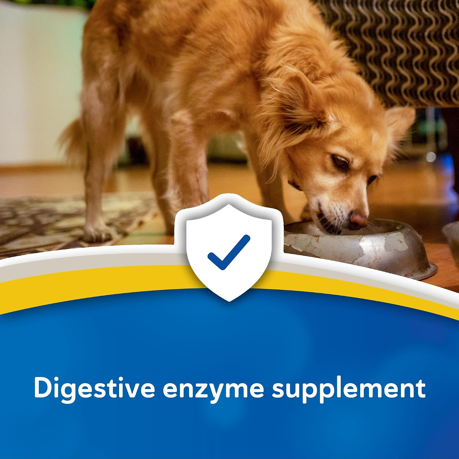 Doc Roy's Absorb More, Natural Plant Enzyme Supplement for Dogs and Cats, Supports Nutrient Digestion, Promotes Gut Health and Immune Function, Tasty Chicken Liver Flavor Powder, 454 g