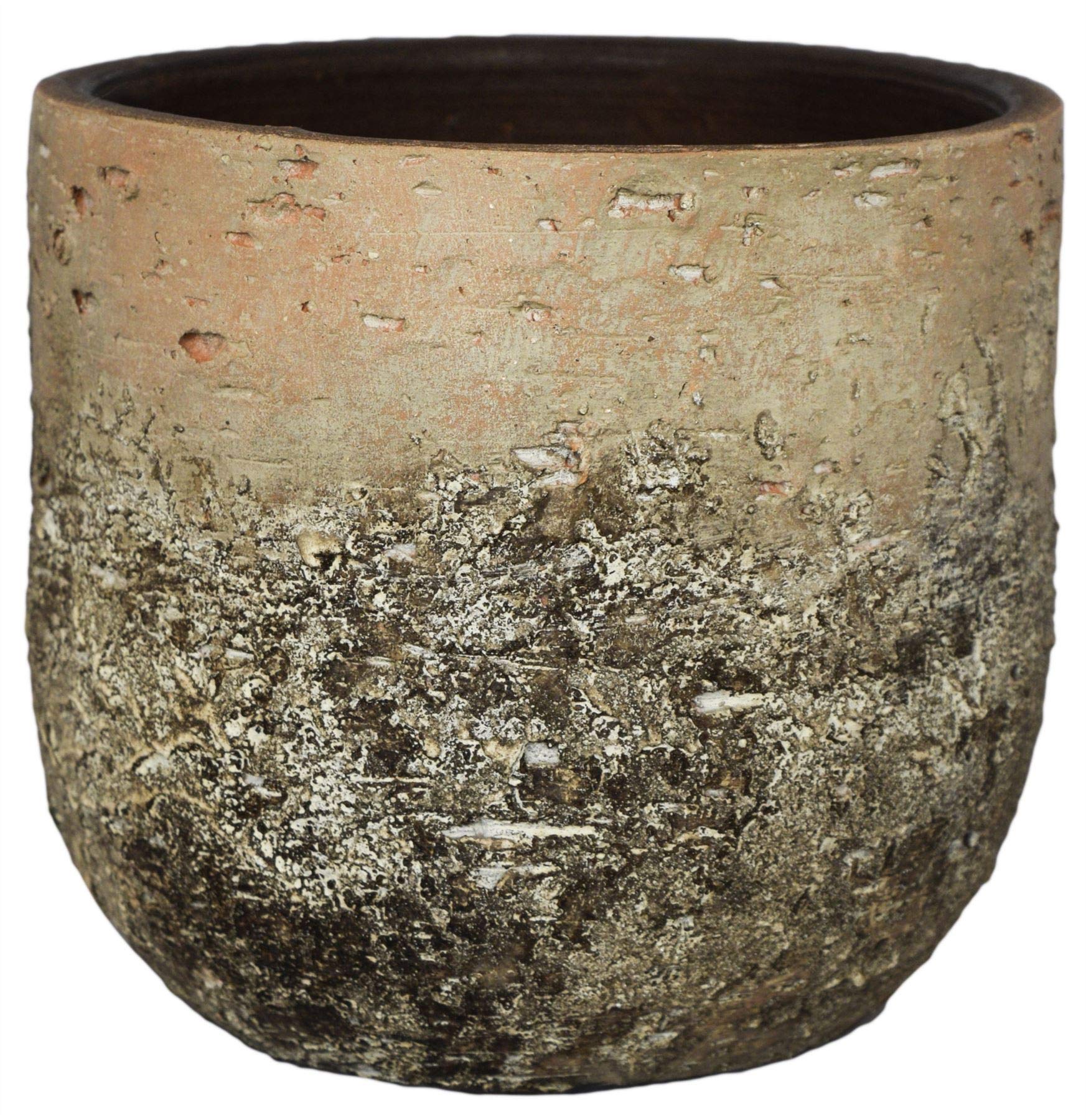 Ivyline Brown/Cream Albero Planter H14cm D16cm One Size