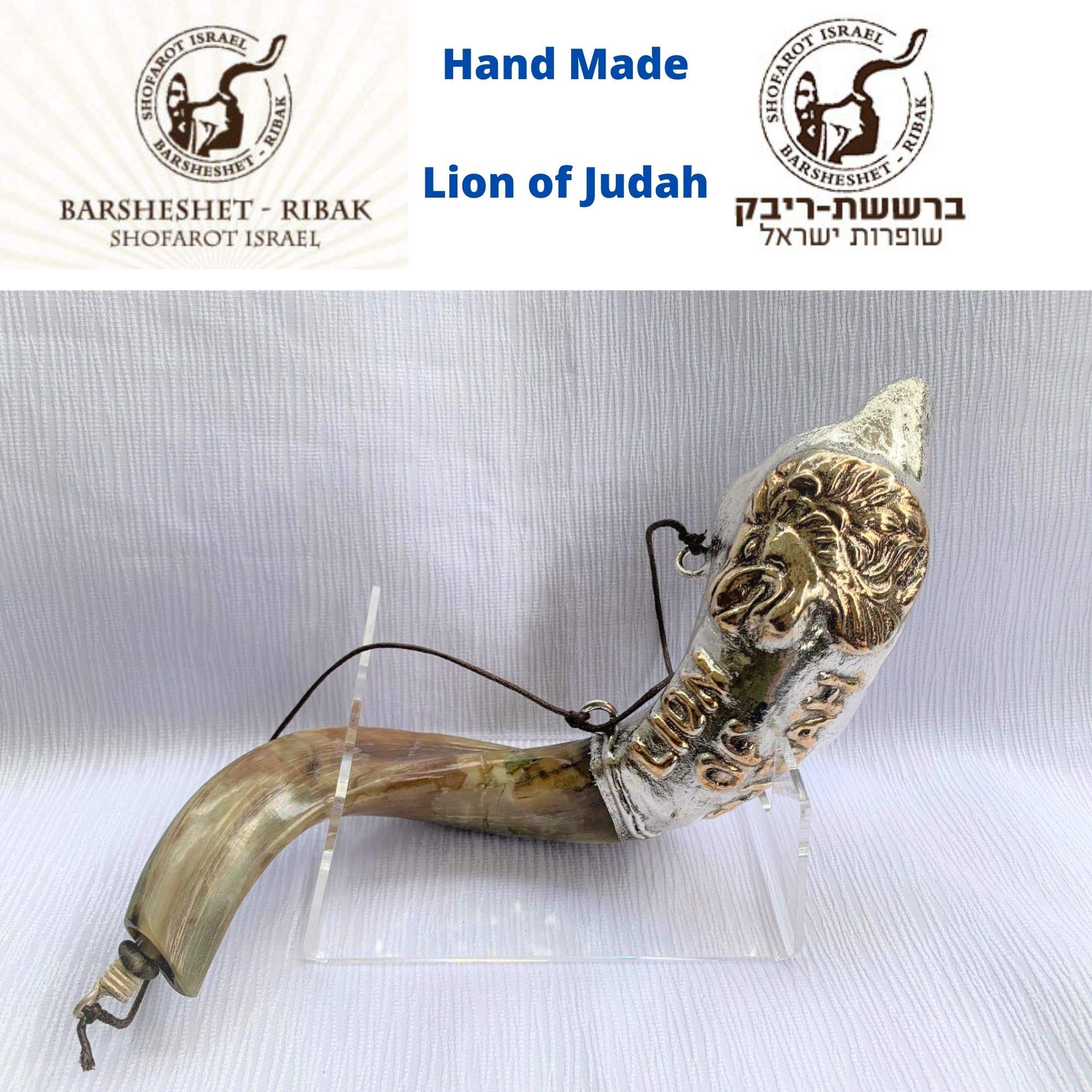 Amaizing srebrny ram shofar 40 cm - 43 cm Mesjaniczny lew Judaha olej do smarowania rzadki