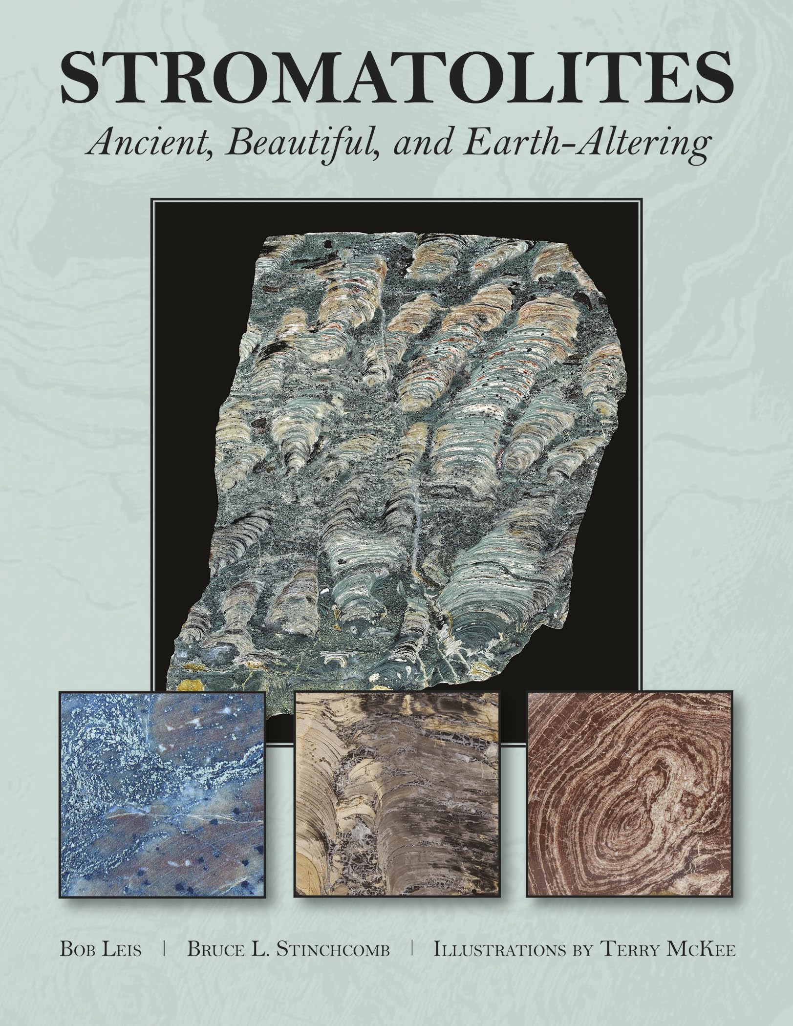 Stromatolites: Ancient, Beautiful, and Earth-Altering