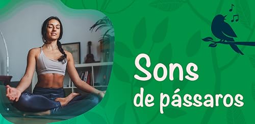 Sons de pássaros-ruído relaxante