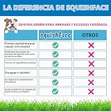 Squishface Pasta antiarrugas – Bulldog, bulldog francés, pug, bulldog inglés – Limpia arrugas, manchas de lágrimas, bolsillos de cola y patas, removedor de manchas antipicazón y crema antiarrugas