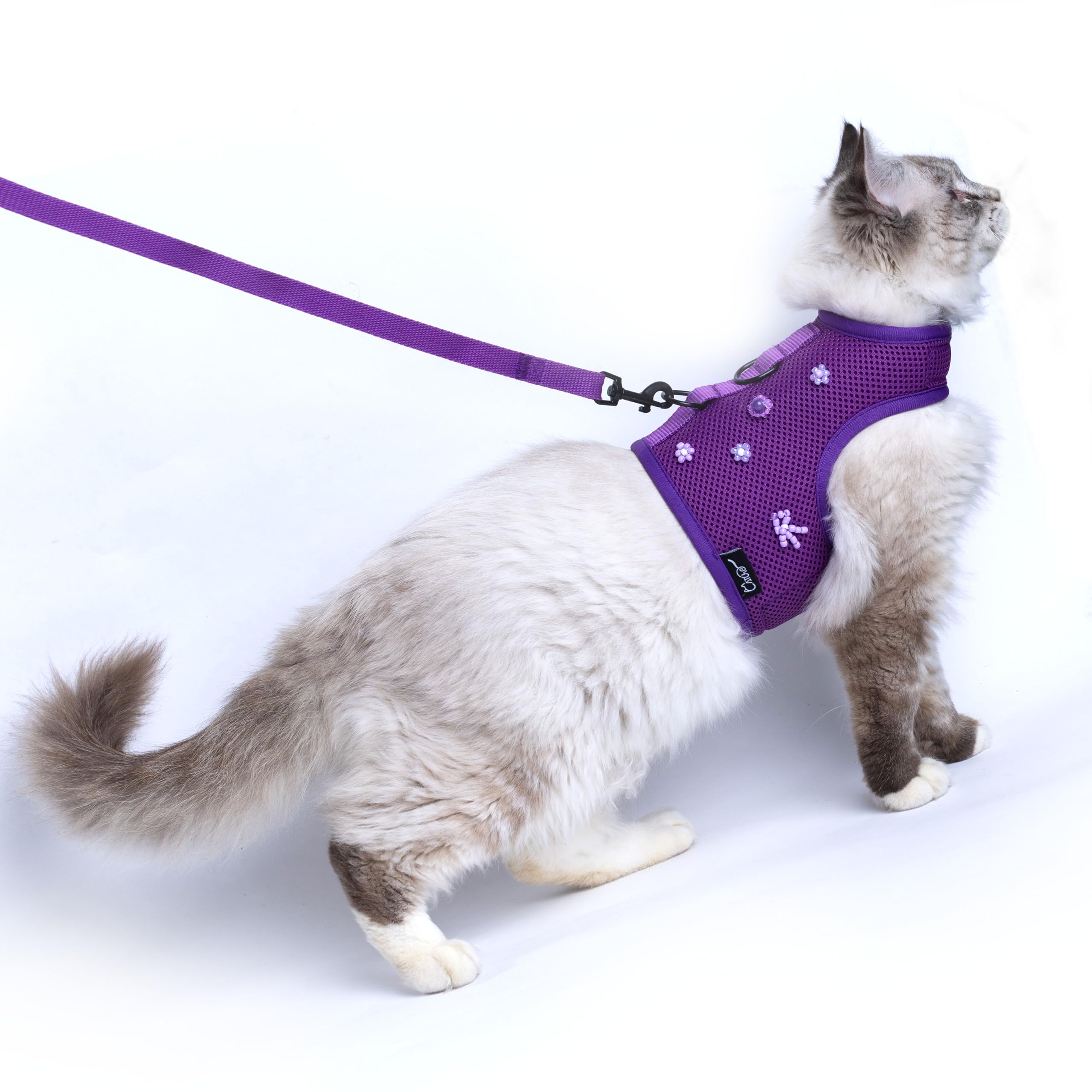 Yizhi Miaow Cat Harness and Leash for Walking Escape Proof Breathable Mesh Fabric, Purple, Extra Large, Adjustable Cat Walking Jackets with DIY Beads, Padded Stylish Cat Vest — image 1