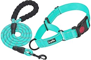 Martingale Collar for Large Dogs: Haapaw Dog Training Collar with Reflective Safety,...