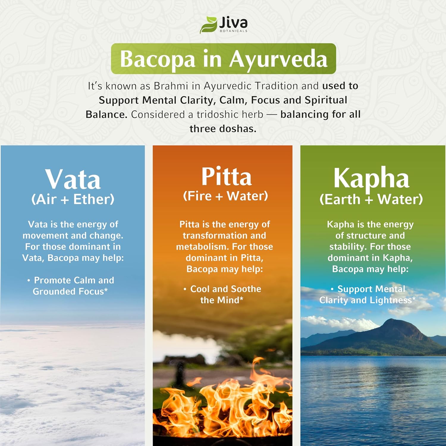 Jiva Botanicals Bacopa Monnieri Supplement Pure 1000mg per Serving - High Potency Bacopa Monnieri (Brahmi) & Extract for Normal Brain, Focus, & Memory Support - Ayurvedic Herbs - 60 Capsules - Image 8