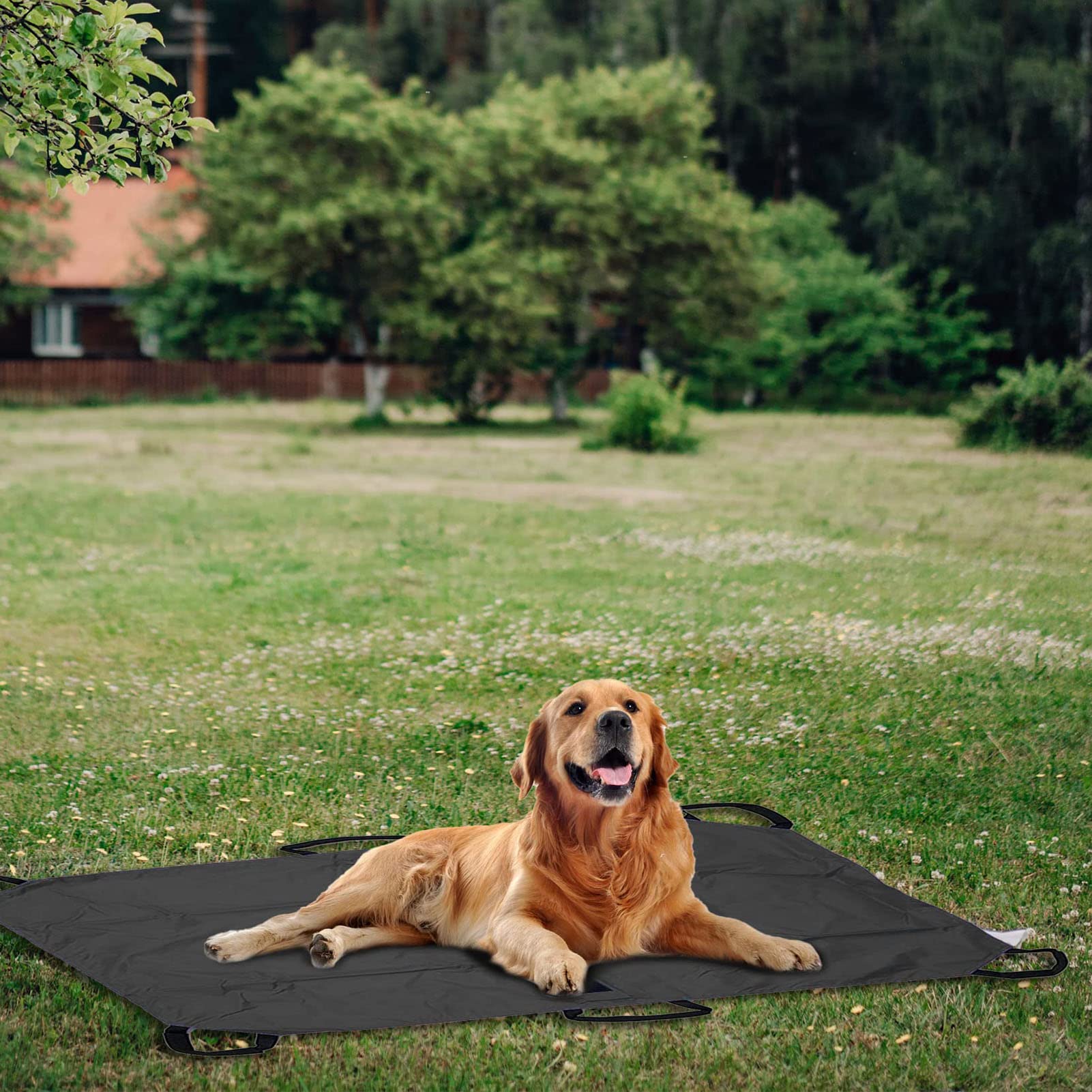 Civière pour Animaux, Pliable Civiere de Transport, Brancard Pliant pour Animaux de Compagnie pour Chiens et Autres Animaux Équipement de Transfert de Sauvetage d'urgence