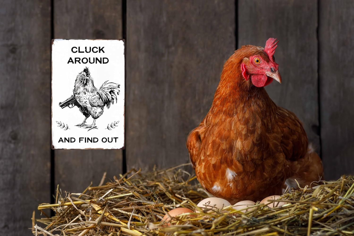 Funny Chicken Gifts Chicken Cluck Around and Find Out Tin Sign for Home Farm Chicken Coop Farmhouse Kicthen Garden Decor 8x12 in - Image 4