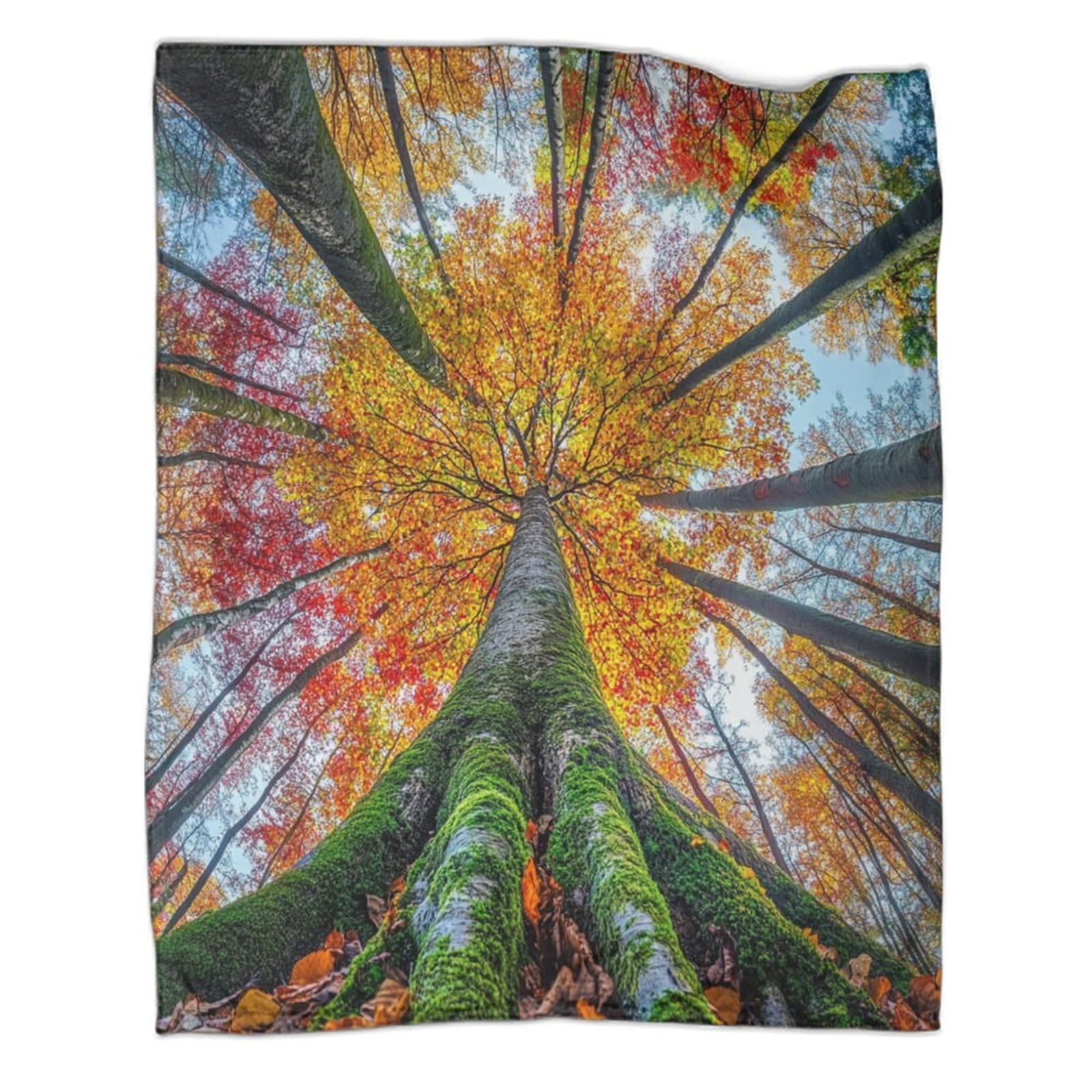 Foresta autunnale Manta Estampada 3D Alberi alti Colcha De Diseño Ropa De Cama De Microfibra Suave Y Cálida Sofá Ropa De Cama 80x90inch(200x230cm)