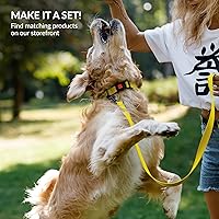 Vista 6 de CollarDirect Reflective Dog Collar for a Small, Medium, Large Dog or Puppy with a Quick Release Buckle - Boy and Girl - Nylon Suitable for Swimming