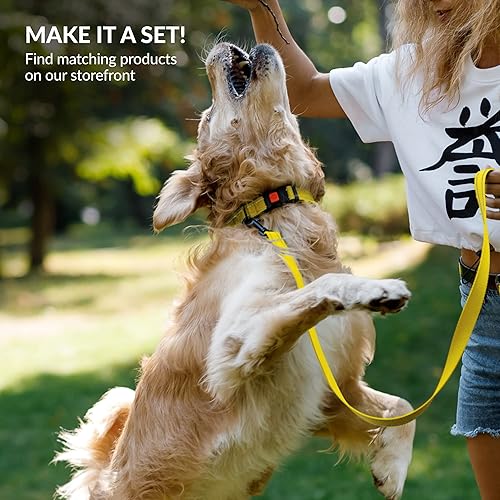 Miniatura 6 de CollarDirect Collar de perro acolchado reflectante para un perro pequeño, mediano y grande con una hebilla de liberación rápida, niño y niña, nailon