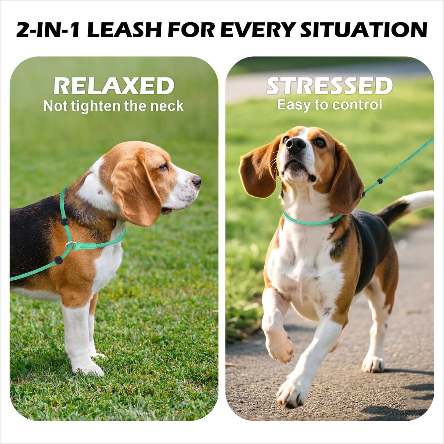 6FT Anti-Tangle Slip Leash, No-Pull Slip Leads and Collar for Dogs with Double Padded Handle, Reflective Nylon Training Lead for Small Medium Dogs, Turquoise 6 Feet Turquoise image 3 of 8 B0F48CS33P