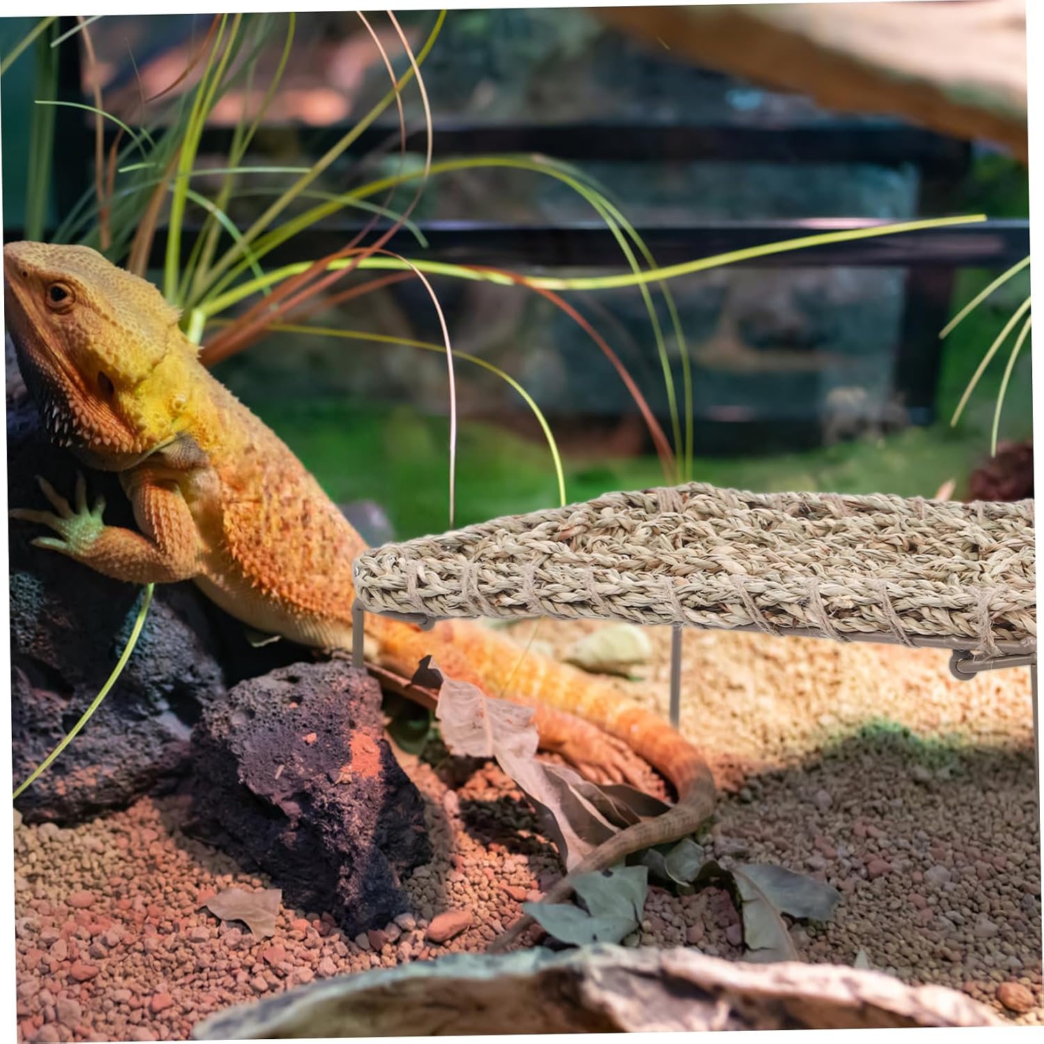 BESPORTBLE Reptile Lizard Habitat Decor Natural Grass Lizard Hammock Bearded Dragon Bed Easy Maintenance