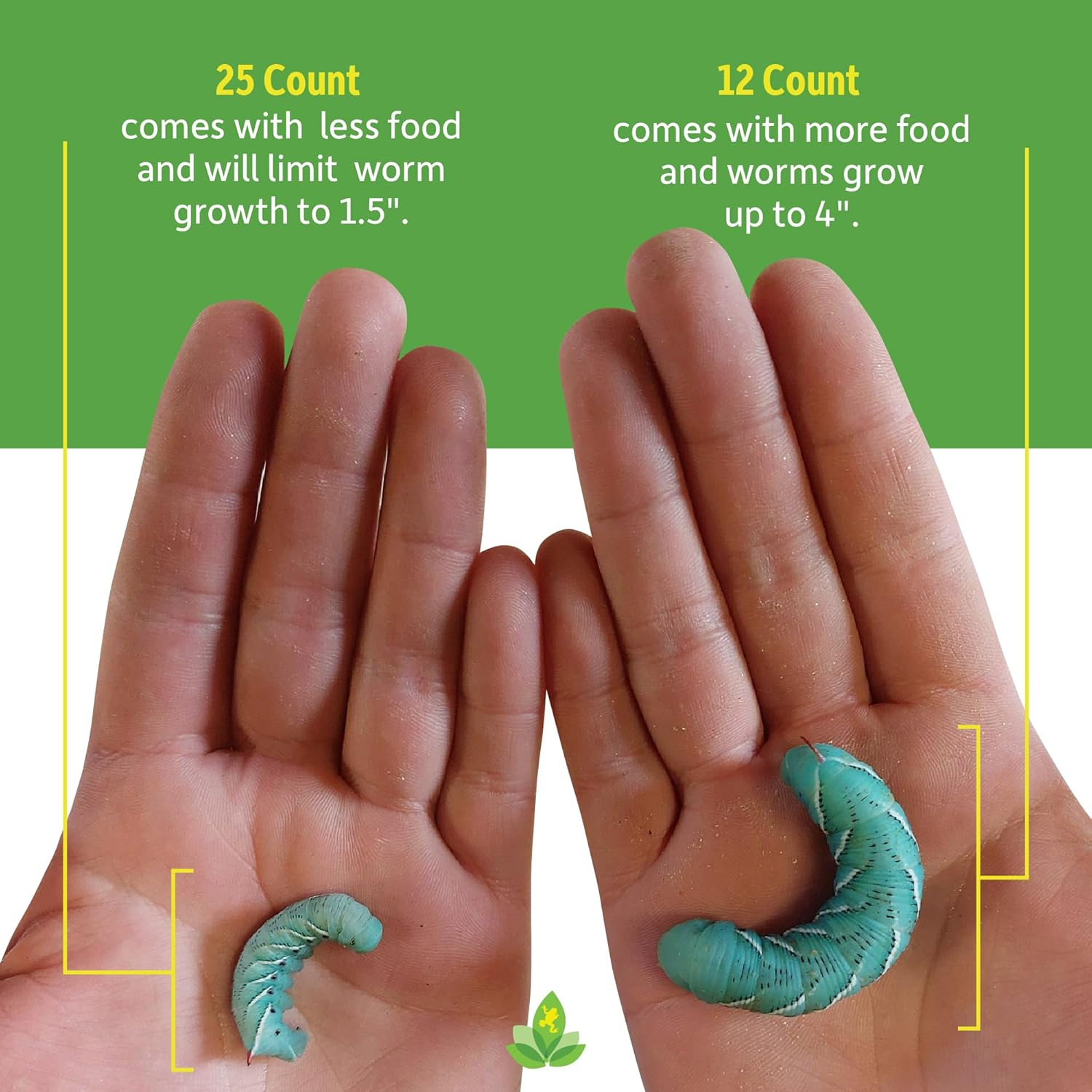 Josh's Frogs Hornworms Habitat Cup (12x6 Count Cup)