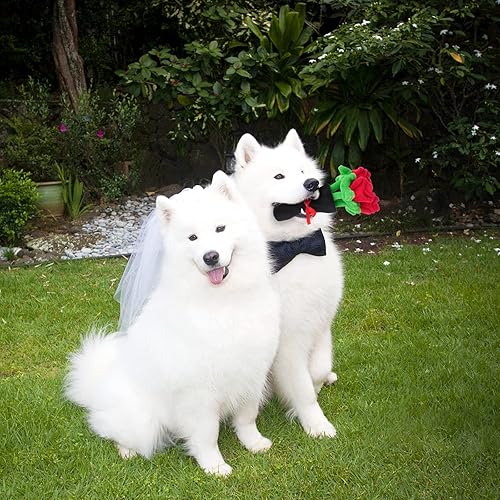 Miniatura 7 de HUMLANJ Juguetes para perros de San Valentín rompecabezas de peluche para perros ramo de rosas rojas decoración de festivales regalo del día de San