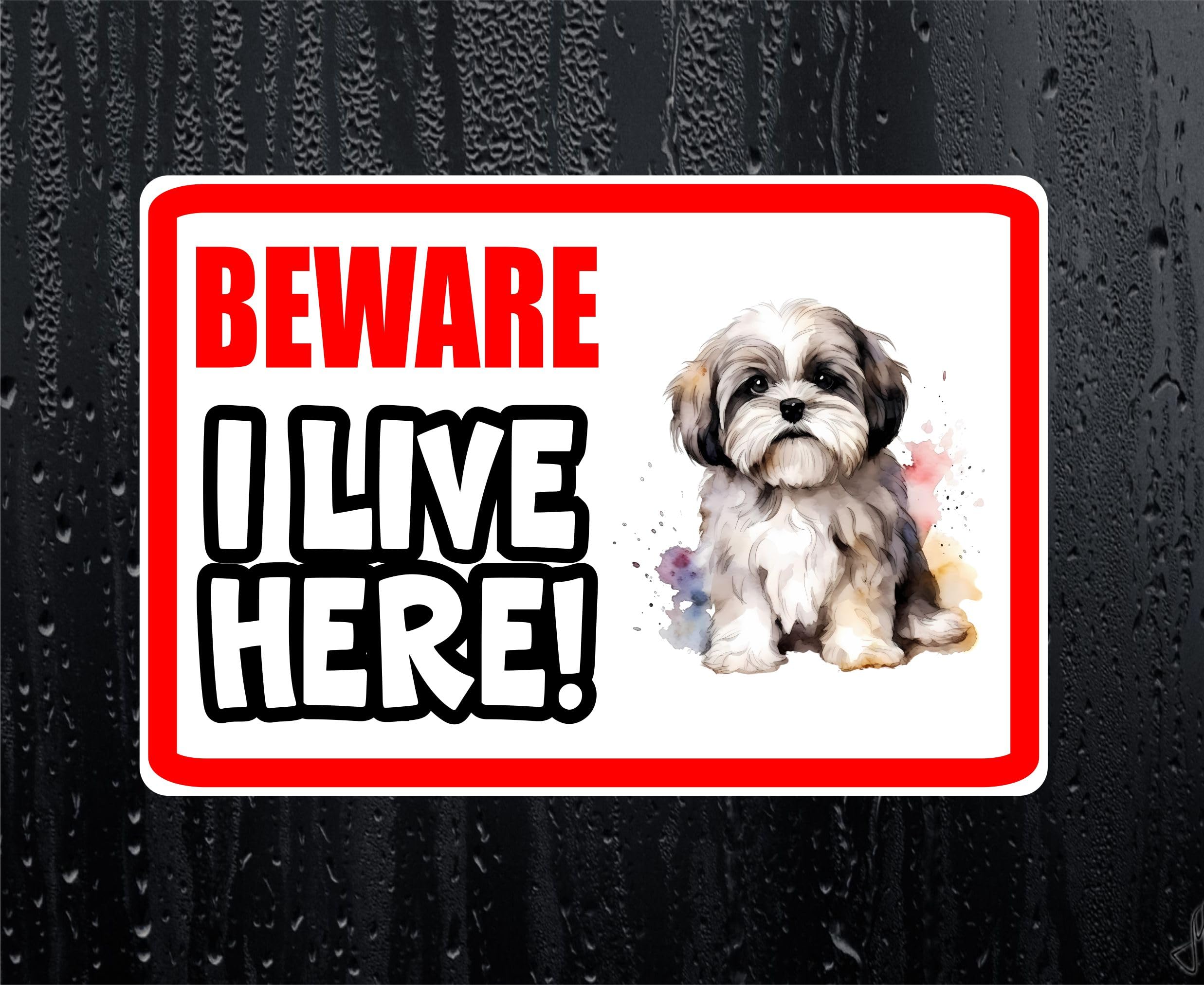 Decalarama White Lhasa Apso Sticker Beware I Live Here House Home Window Door Porch Printed Decal