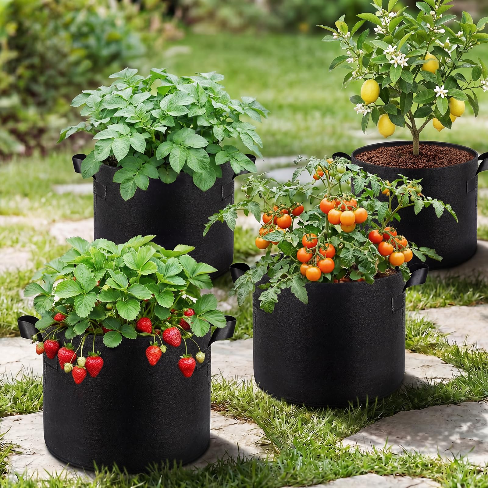 Songrey Lot de 10 sacs de culture de 50 litres en tissu non tissé épais avec poignées, pot de fleurs très résistant pour tomates, légumes et fleurs