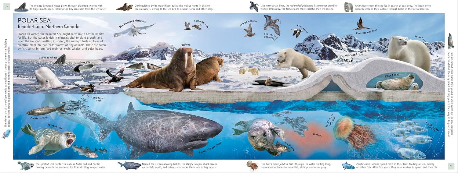 Habitats of the World (DK Panorama) - Image 6