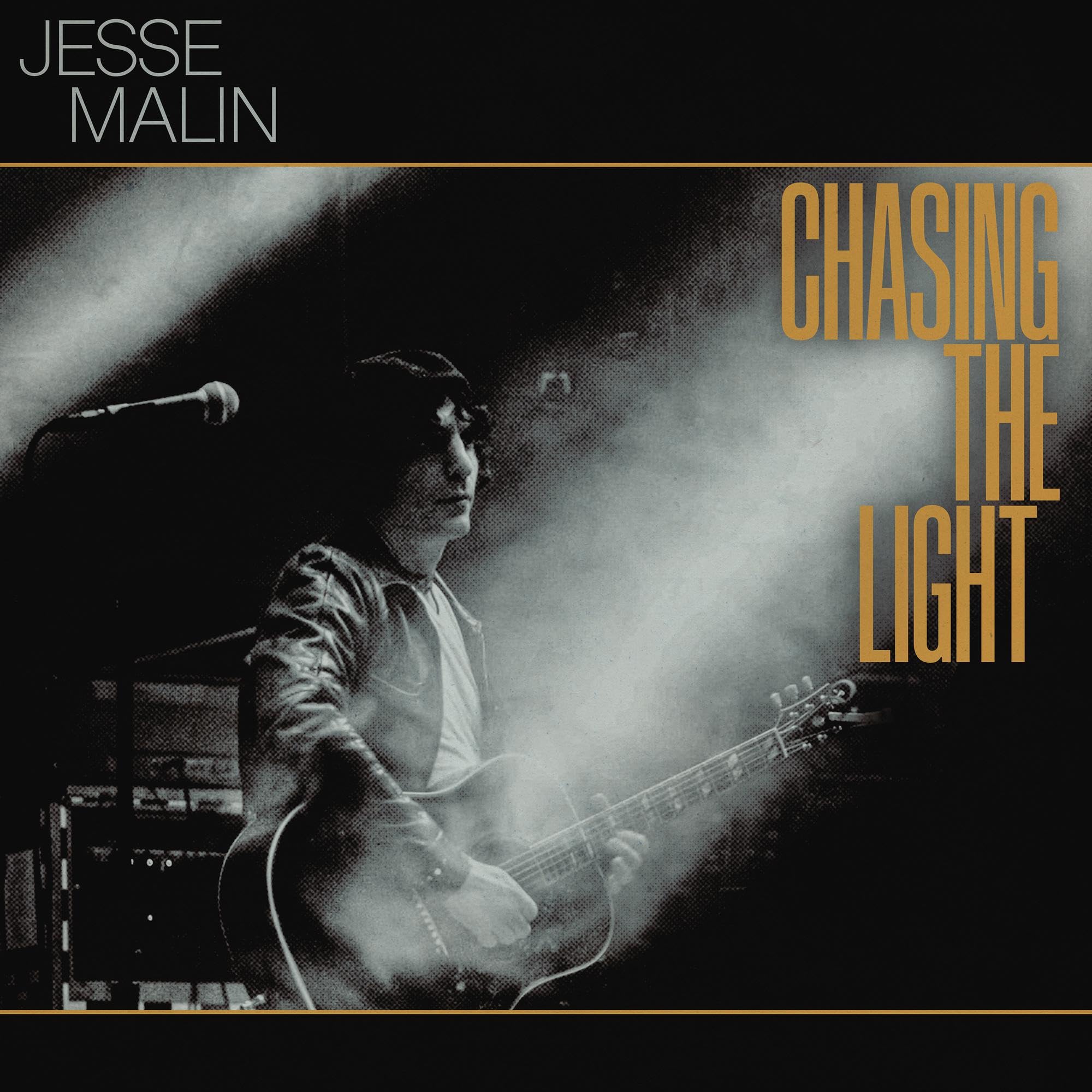 Chasing The Light [VINYL]