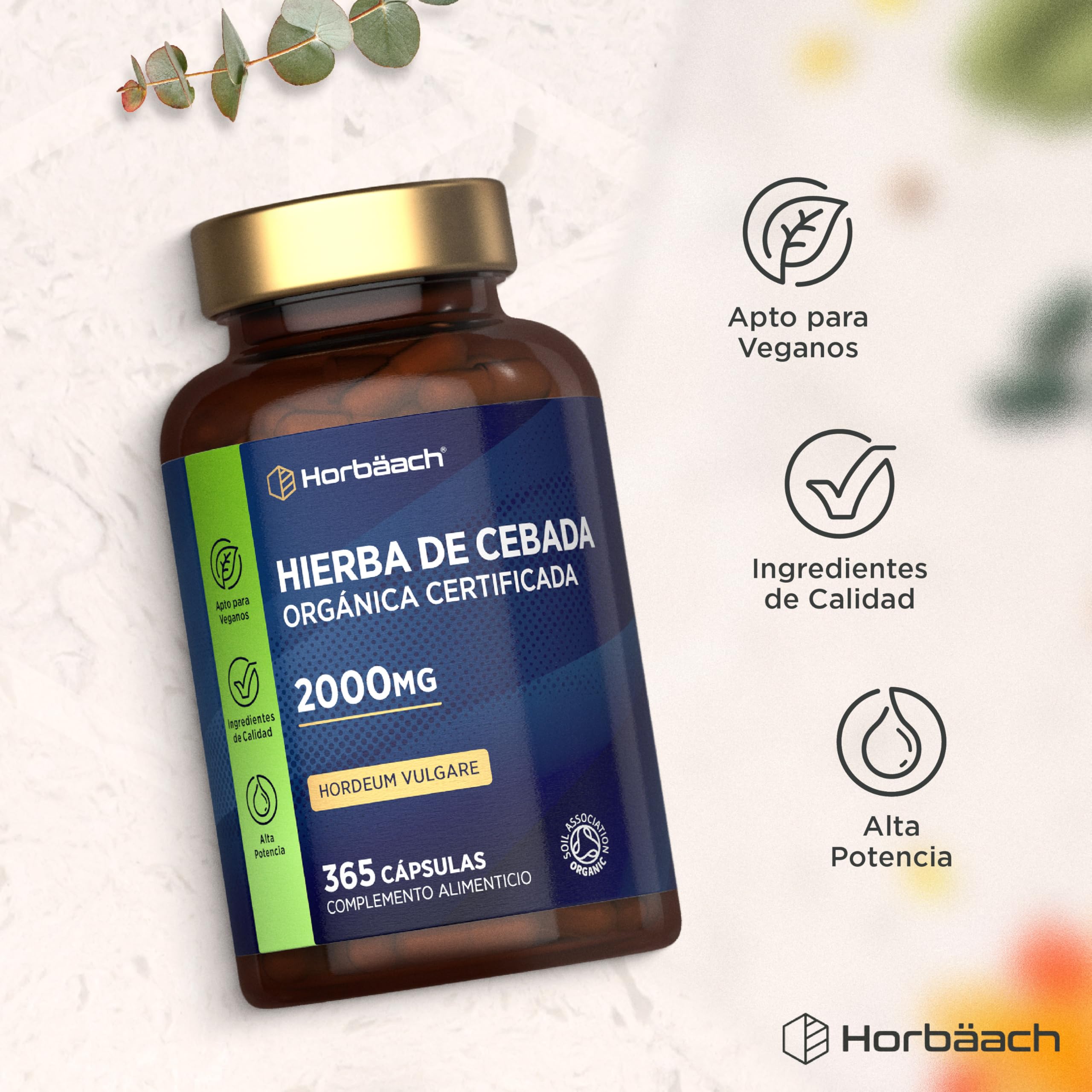 Cebada Cápsulas Bio 2000mg | Cebada en Polvo Encapsulada | 365 Cápsulas Veganas Orgánicas | con Certificado Orgánico | Organic Barley Grass | Horbaach
