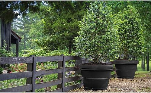 Miniatura 2 de Garden Elements (#BC2614SC94 Turin - Maceta redonda de plástico para exteriores, 14 pulgadas), color negro