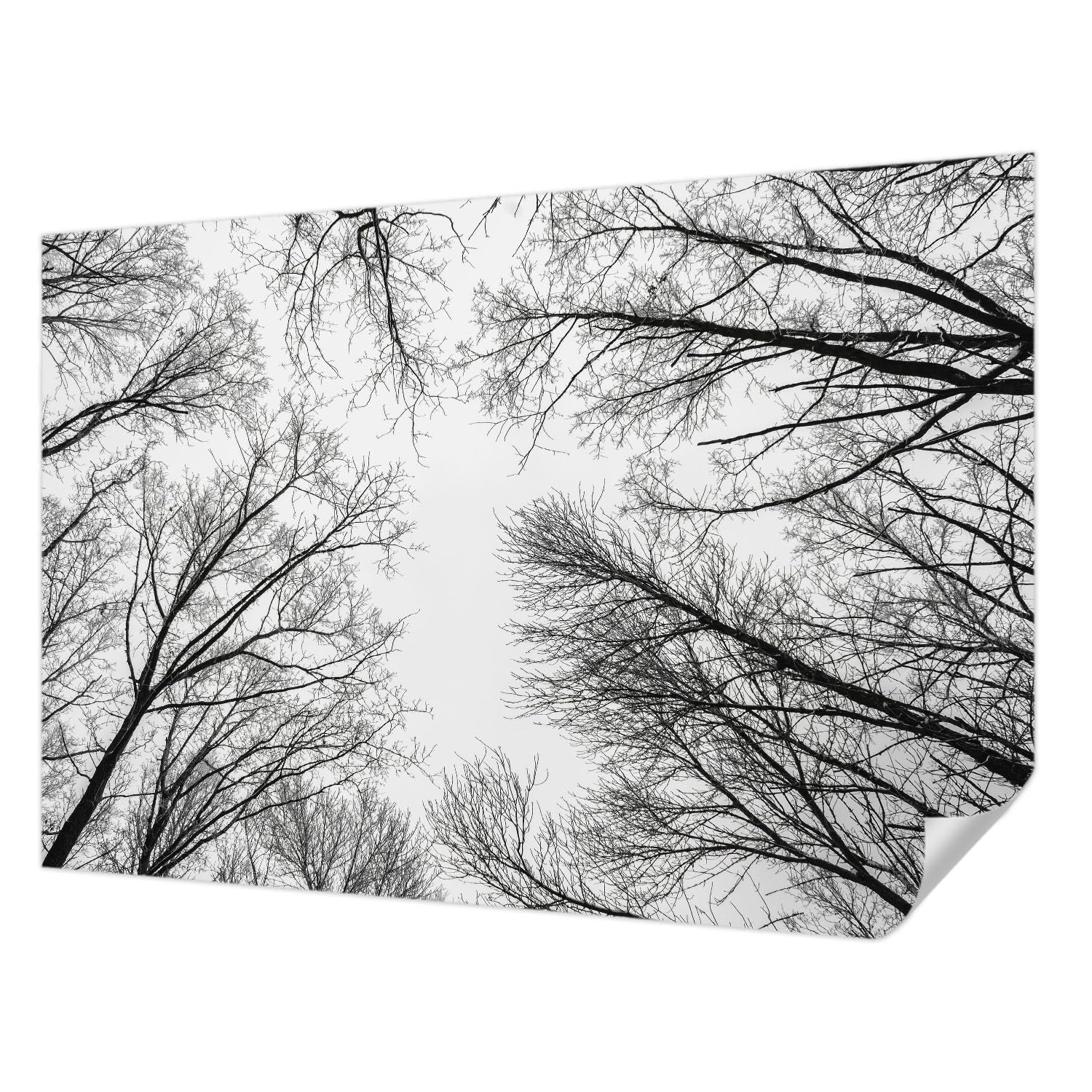 Papel tapiz fotográfico de alta calidad Tulup 152x104 cm resistente para decorar paredes