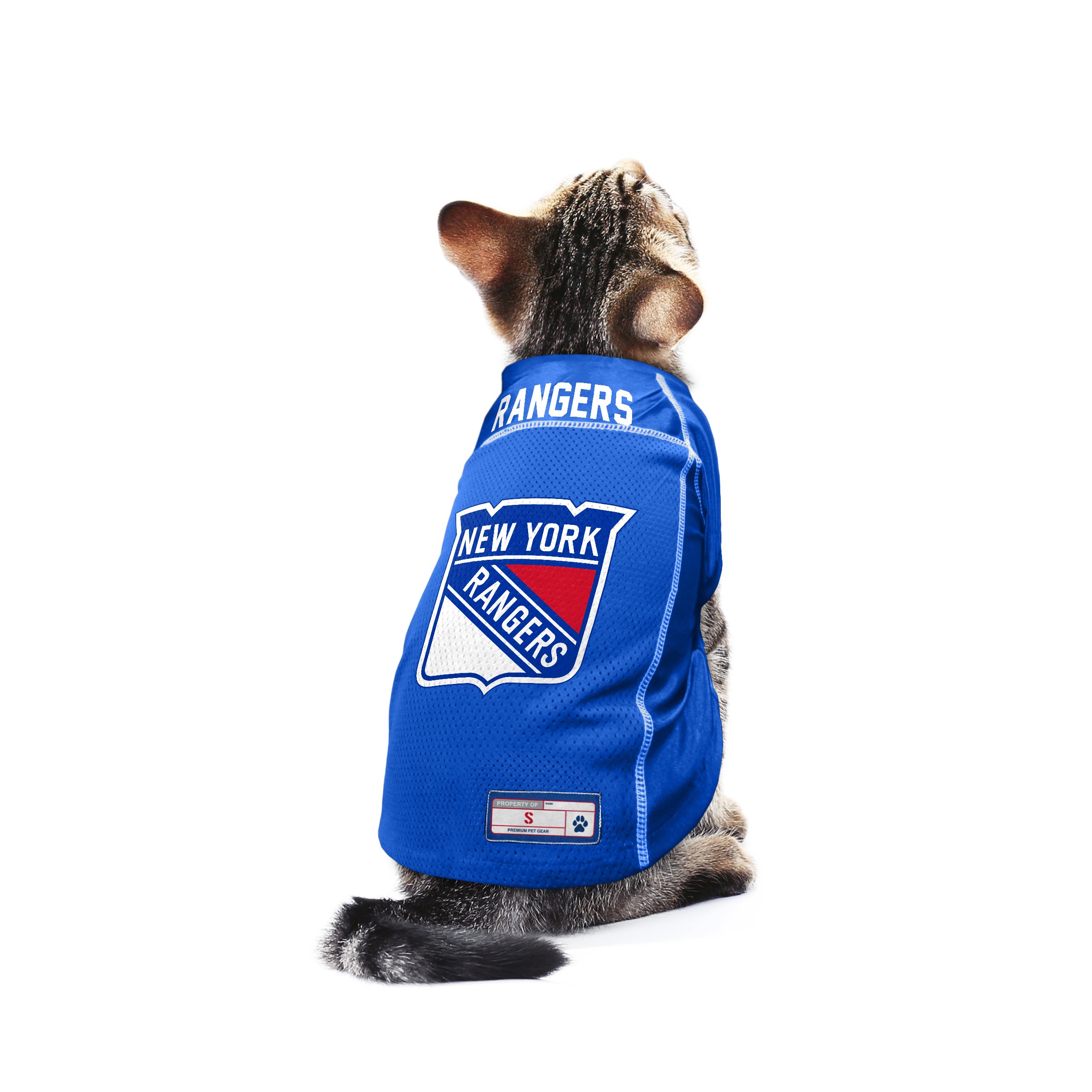 Littlearth NHL Basic Pet Jersey