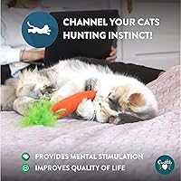 Vista 5 de OurPets Juguete para Gatos 100% Relleno de Cosmic Catnip, 24 quilates