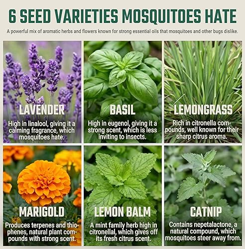 Miniatura 4 de Tactiko Garden - Kit de semillas de hierbas aromáticas para la temporada de mosquitos, 6 paquetes individuales de semillas para patio y terraza,