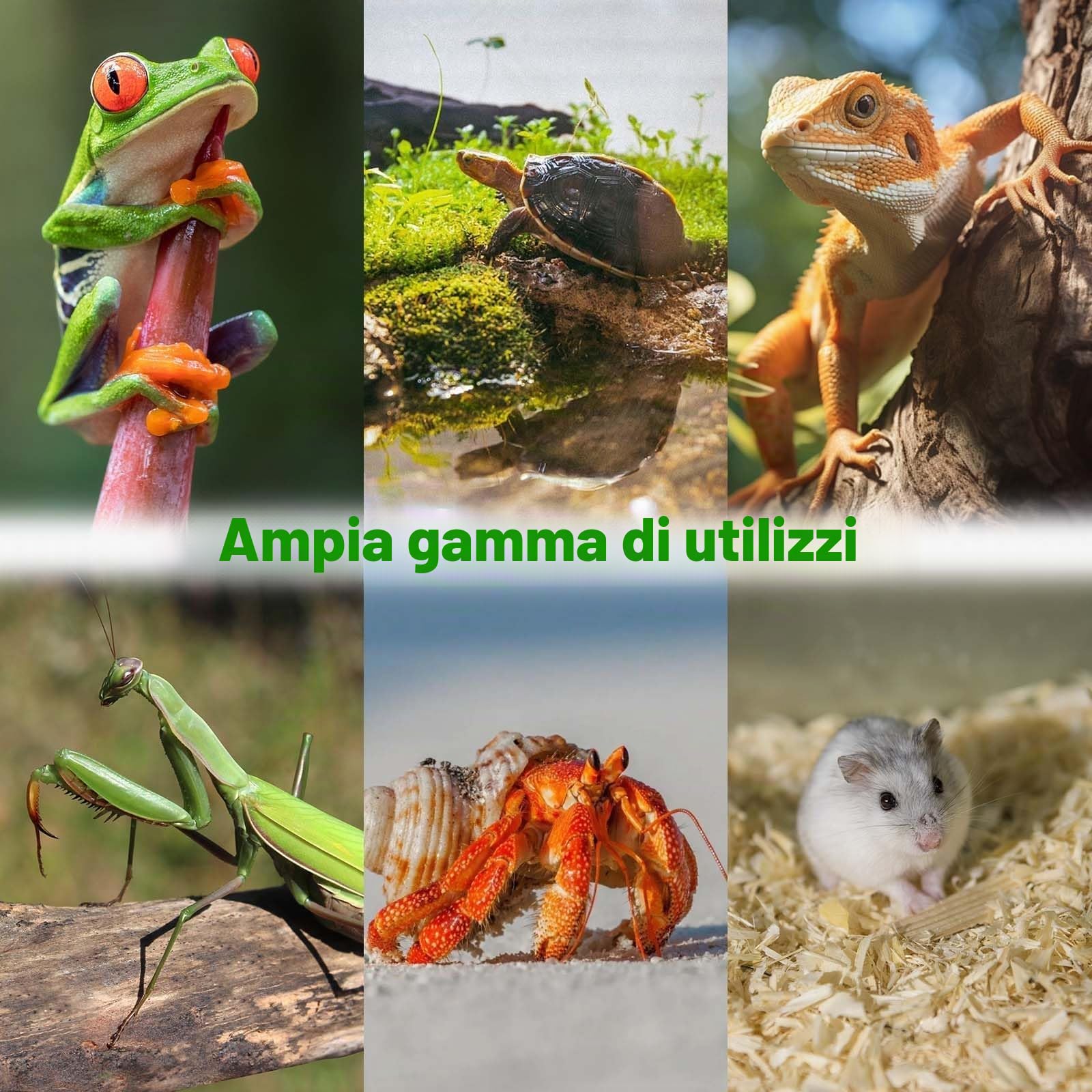 Terrario per rettili, 11x12x20 cm, Serbatoio per rettili, Recinzione in acrilico, Vivarium acrilico trasparente,adatto per contenitori per rettili e anfibi