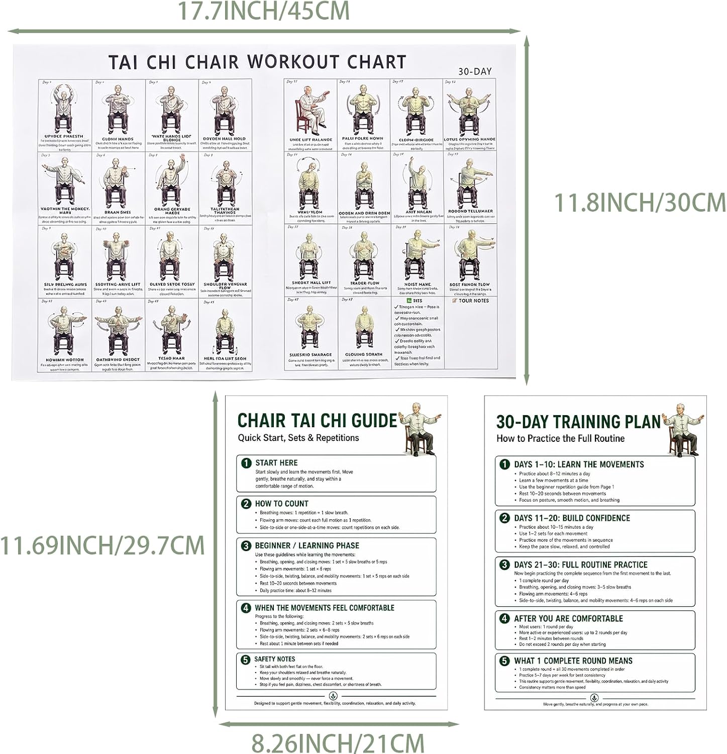 RDHNQOZE Tai Chi Chair Workout Chart, Chair Tai Chi for Seniors Wall Chart with Illustrated Seated Exercises for Beginners, Easy Home Fitness Guide, Unframed
