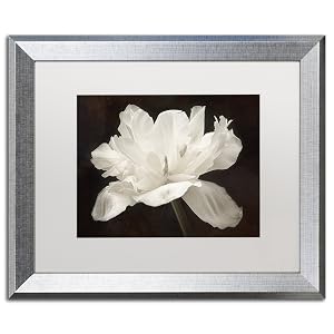 Trademark Fine Art White Tulip I White Matted Silver Frame by Cora Niele 16x20