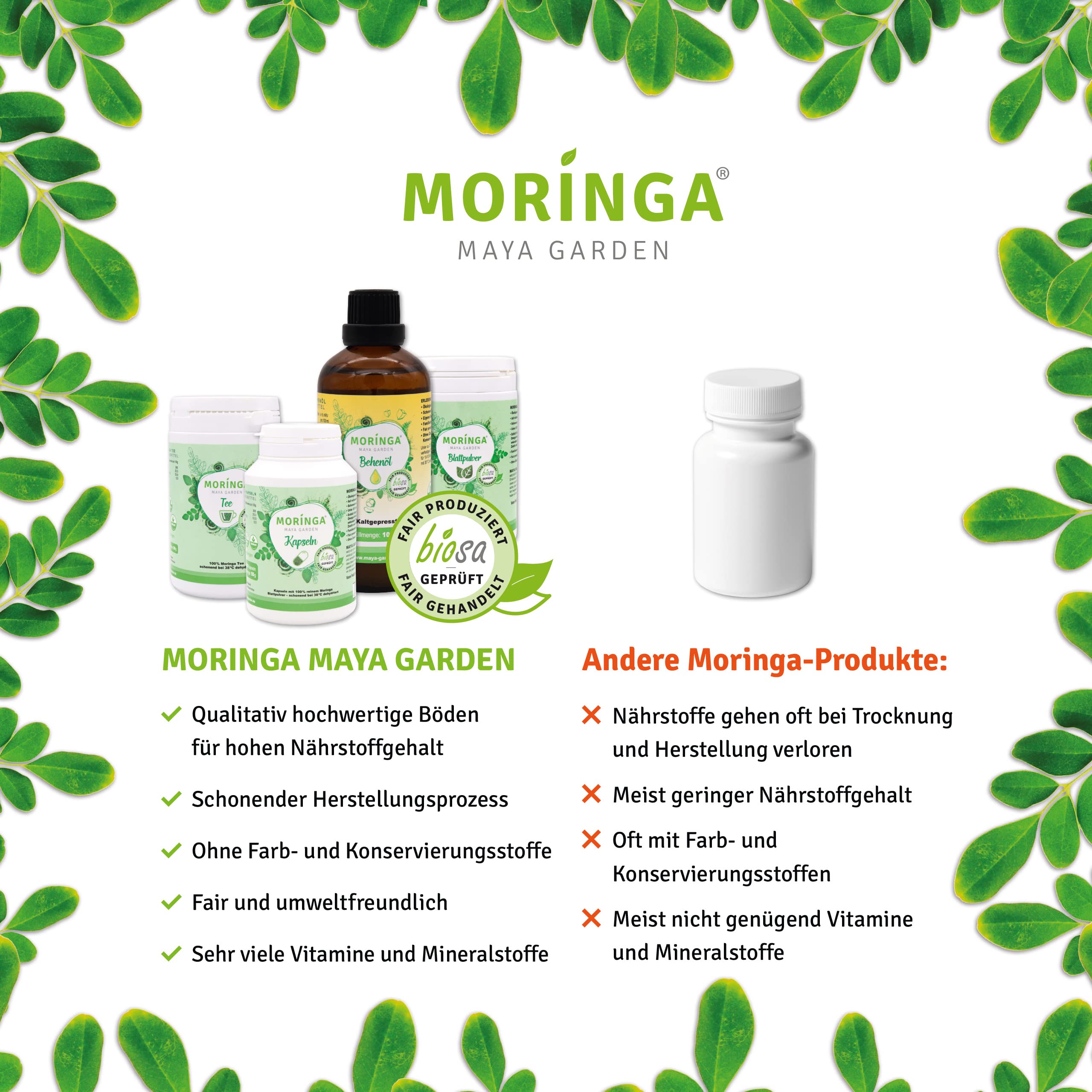 Olej Moringa – olej z nasion moringi, tłoczony na zimno 250 ml, olej z pestek z nasion drzewa Moringa, wysokiej jakości surowej jakości zgodnie z naturalną uprawą upraw firmy Maya Garden