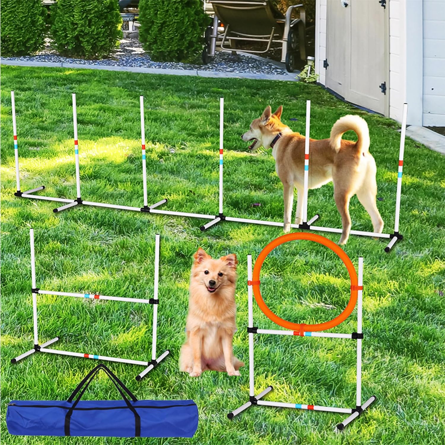 Amazon.com : anwickjeff 3 Pack Dog Agility Jumps with Carry Bag ...