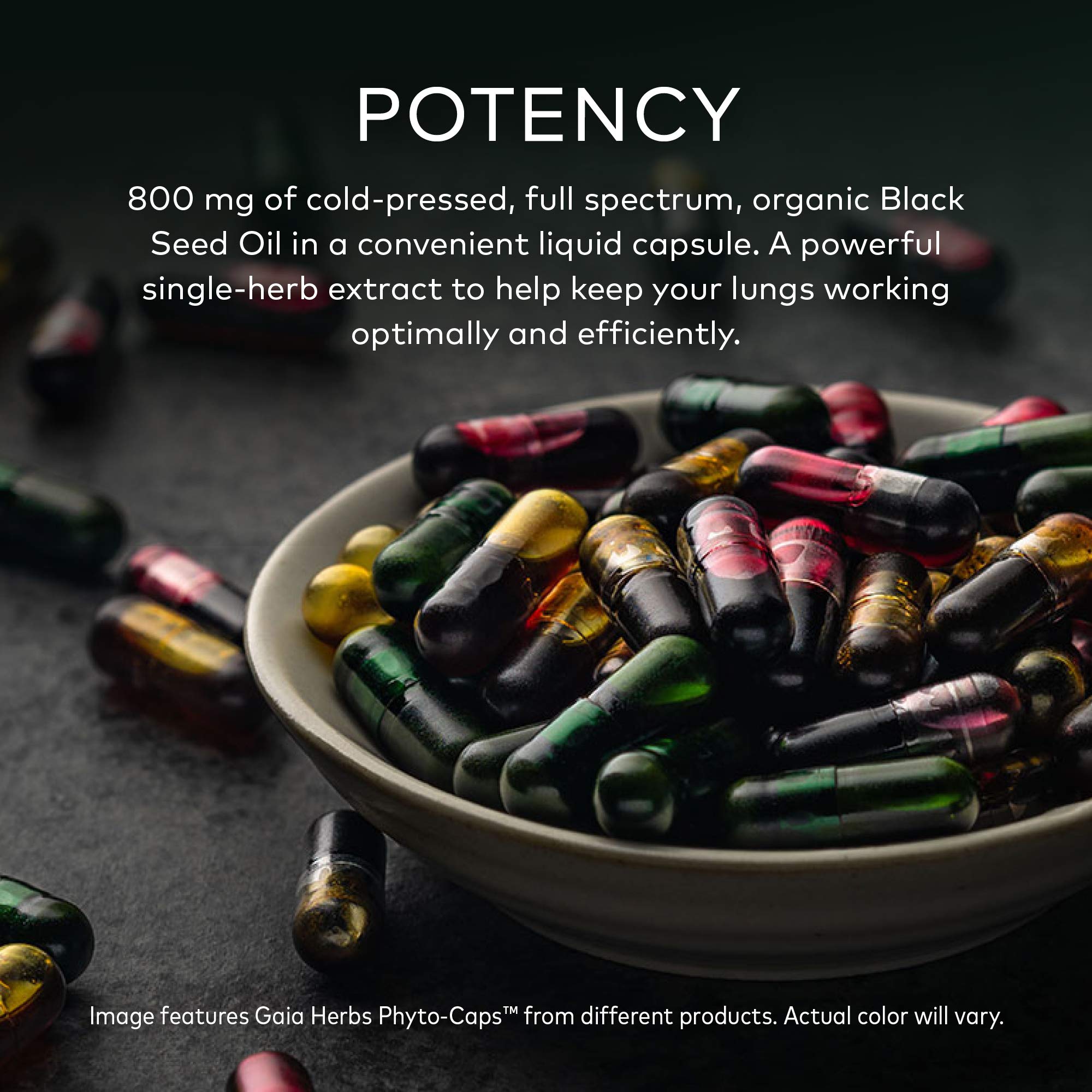 Buy Gaia Herbs Black Seed Oil ColdPressed Capsules for Lung, Respiratory, and Antioxidant