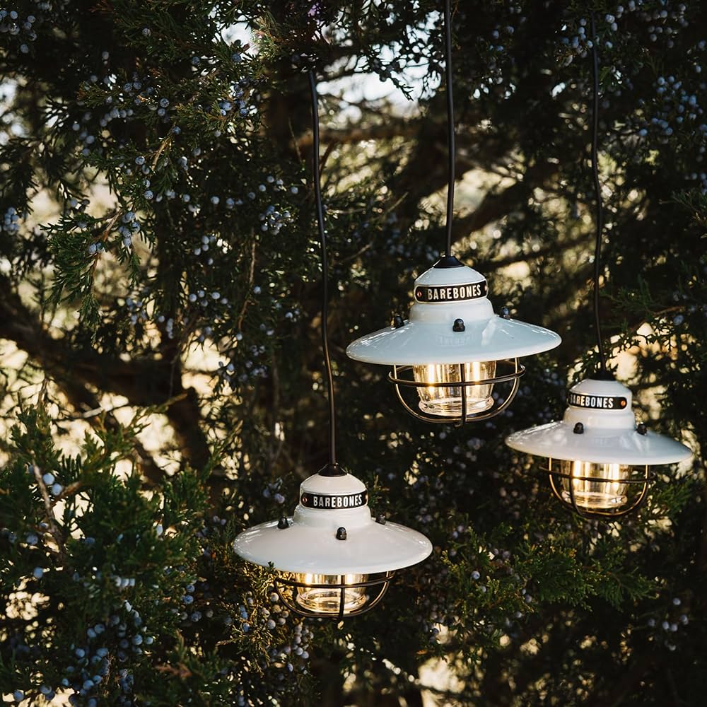 ベアボーンズ　３連　エジソンストリングライト　LED ブラック BAREBONES（ベアボーンズ） エジソンストリングライトLED | WEST