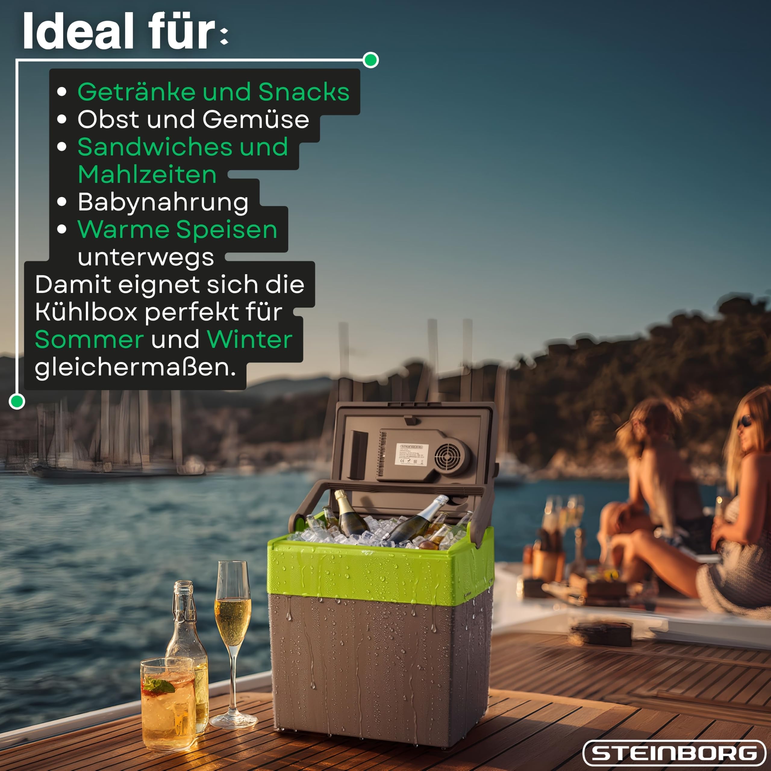 30 Liter 2in1 Kühlbox | Elektrische Kühlbox | Kühltasche | Isoliertasche | Thermobox | Warmhaltebox | Auto | Camping | Thermal Kühlbox
