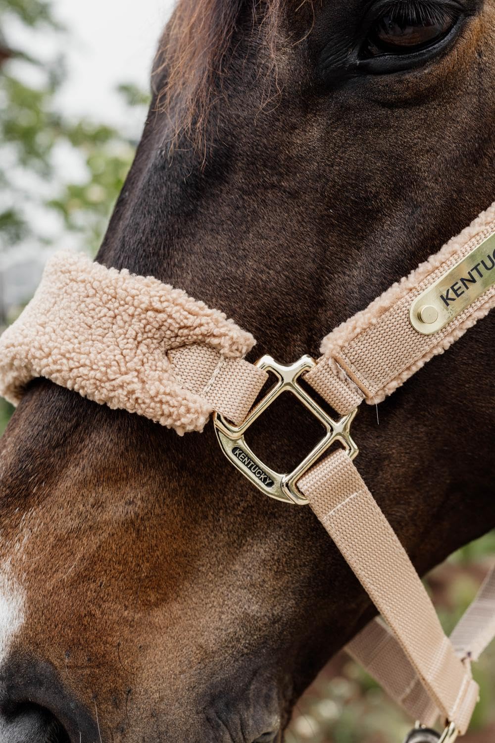 Kentucky - Cabestro de forro polar beige cob