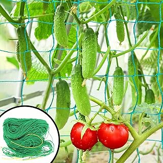 WNE Jaliwale Plant Climbing Net Trellis Netting for Climbing Plants Heavy Duty Garden Creeper Net for Cucumber, Fruits & Vegetables Tomato Plants Trellis Ne (6 Feet x 9 Feet)