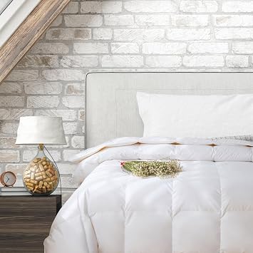 Ambassador Canadian Crafted Luxury Down Comforter 600+ FP Duck Down Duvet Insert, Baffle Box, 240TC Cotton, Hypoallergenic, Corner Tabs Cozy, Comfort and Elegance for All Seasons Twin/Twin XL
