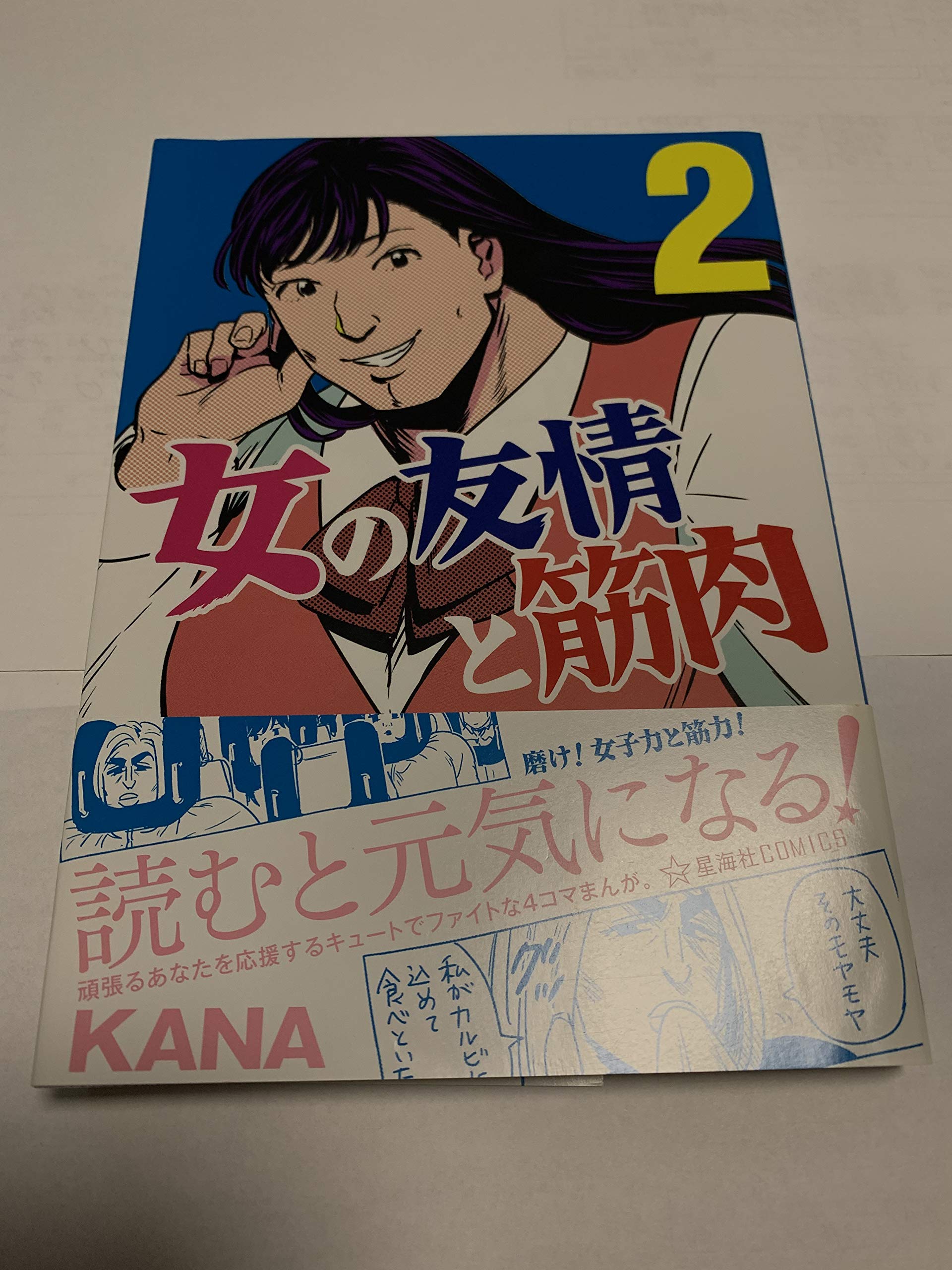 貴重★2冊★☆B6ハードカバー少女漫画「こがらしの歌」&「南海の友情」★現状品 貴重☆2冊B6ハードカバー少女漫画「こがらしの歌」&「南海の友情
