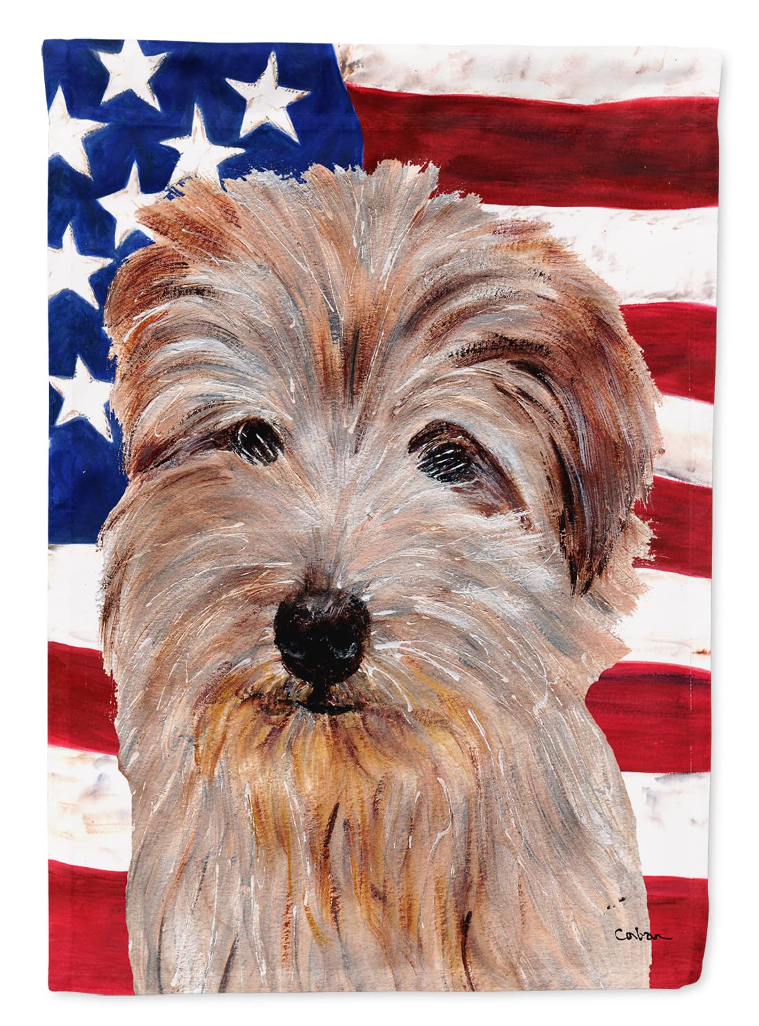 Norfolk Terrier et Drapeau Américain Toile Artistique de Prestige Caroline's Treasures SC9640CHF